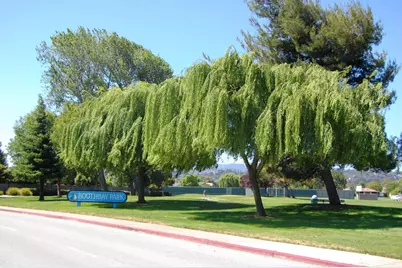 Tampa Ct, Foster City, CA 94404 - Photo 52