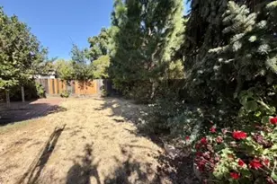 1619 St Francis Way, San Carlos, CA 94070 - Photo 28