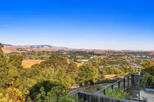 822 Via Palermo, San Ramon, CA 94583 - Photo 42