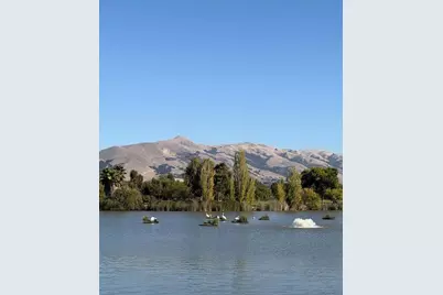 791 Ridgeview Ter, Fremont, CA 94536 - Photo 28