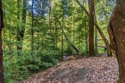 Lot 29 Bear Creek Road, Boulder Creek, CA 95006 - Photo 18