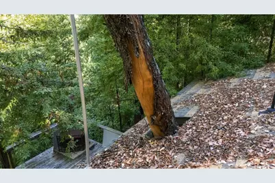 Lot 29 Bear Creek Road, Boulder Creek, CA 95006 - Photo 22