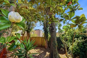 210 Miriam St, Daly City, CA 94014 - Photo 34