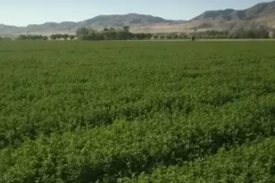0 Panoche Rd, Paicines, CA 95043 - Photo 1