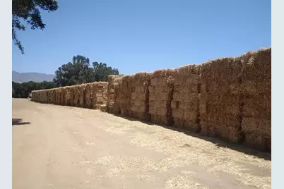 0 Panoche Rd, Paicines, CA 95043 - Photo 4