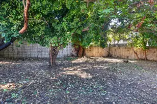 2035 Jackson St, Santa Clara, CA 95050 - Photo 22