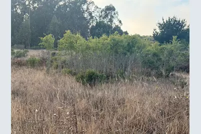 0 Bonita Ave, Half Moon Bay, CA 94019 - Photo 6
