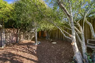 23 Michael Ln, Millbrae, CA 94030 - Photo 38