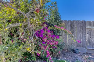 1049 W Alisal St, Salinas, CA 93901 - Photo 30