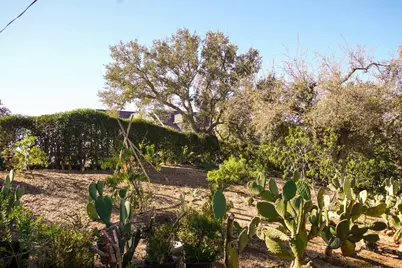 20392 Panoche Rd, Paicines, CA 95043 - Photo 38