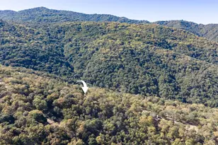 39207 Tassajara Rd, Carmel Valley, CA 93924 - Photo 36