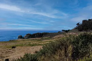 37315 Palo Colorado Rd, Carmel, CA 93923 - Photo 50