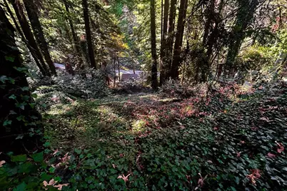 37315 Palo Colorado Rd, Carmel, CA 93923 - Photo 46