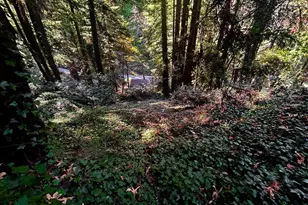 37315 Palo Colorado Rd, Carmel, CA 93923 - Photo 46