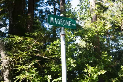 0 Madrone Madrone Ave, Felton, CA 95018 - Photo 6