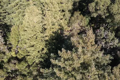 0 Madrone Madrone Ave, Felton, CA 95018 - Photo 4