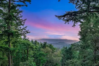 12338 First Fork Rd, Los Gatos, CA 95033 - Photo 1