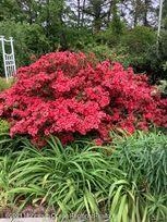 1759 Todd, Toms River NJ 08755-2128 exterior