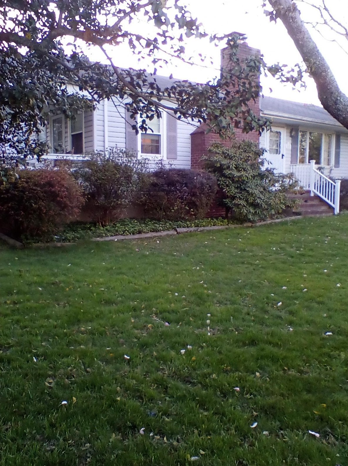 1623 Bailey Rd, Belmar, NJ 07719