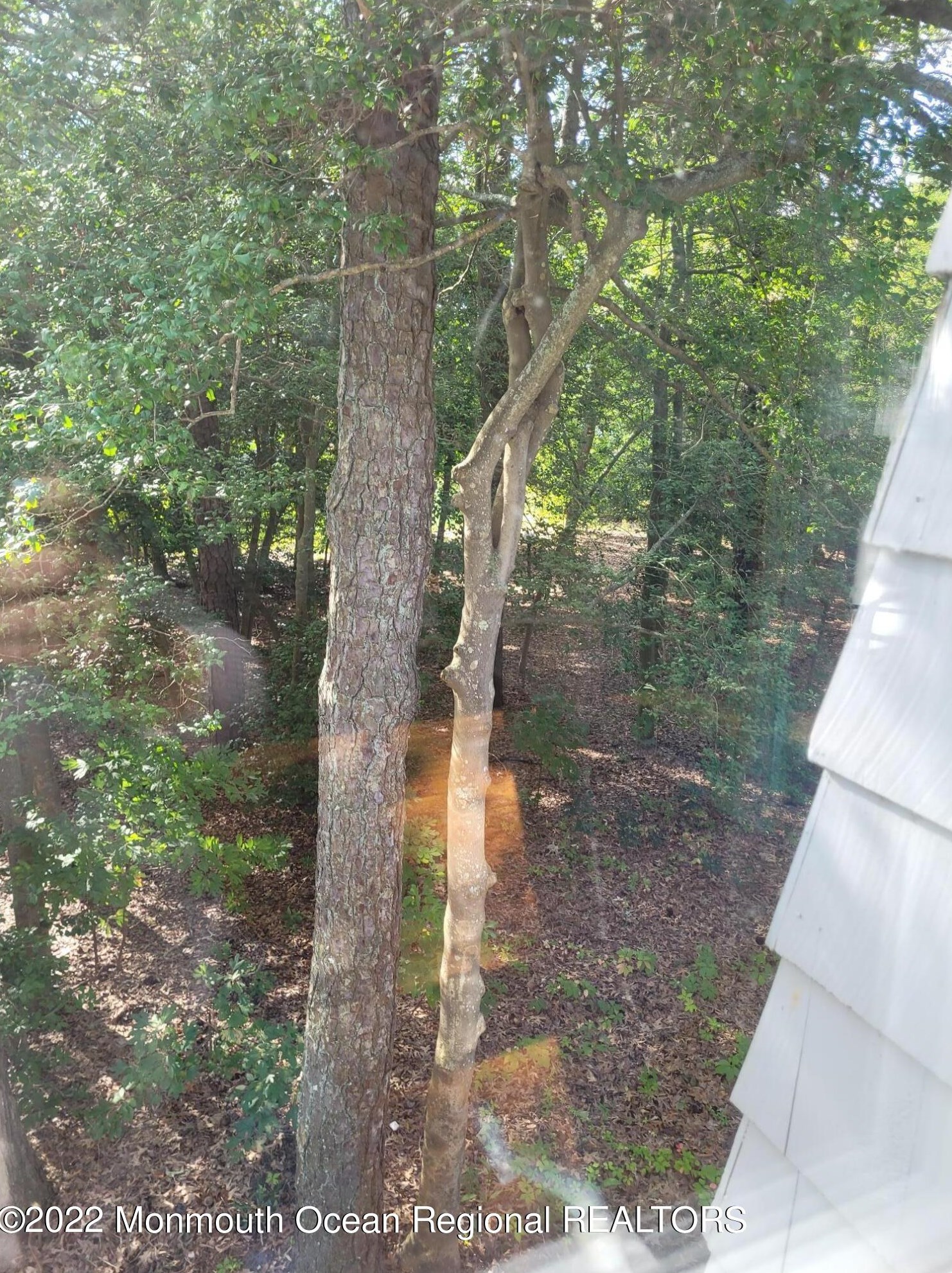 195 Holly Ln, Tuckerton NJ  08087-2016 exterior