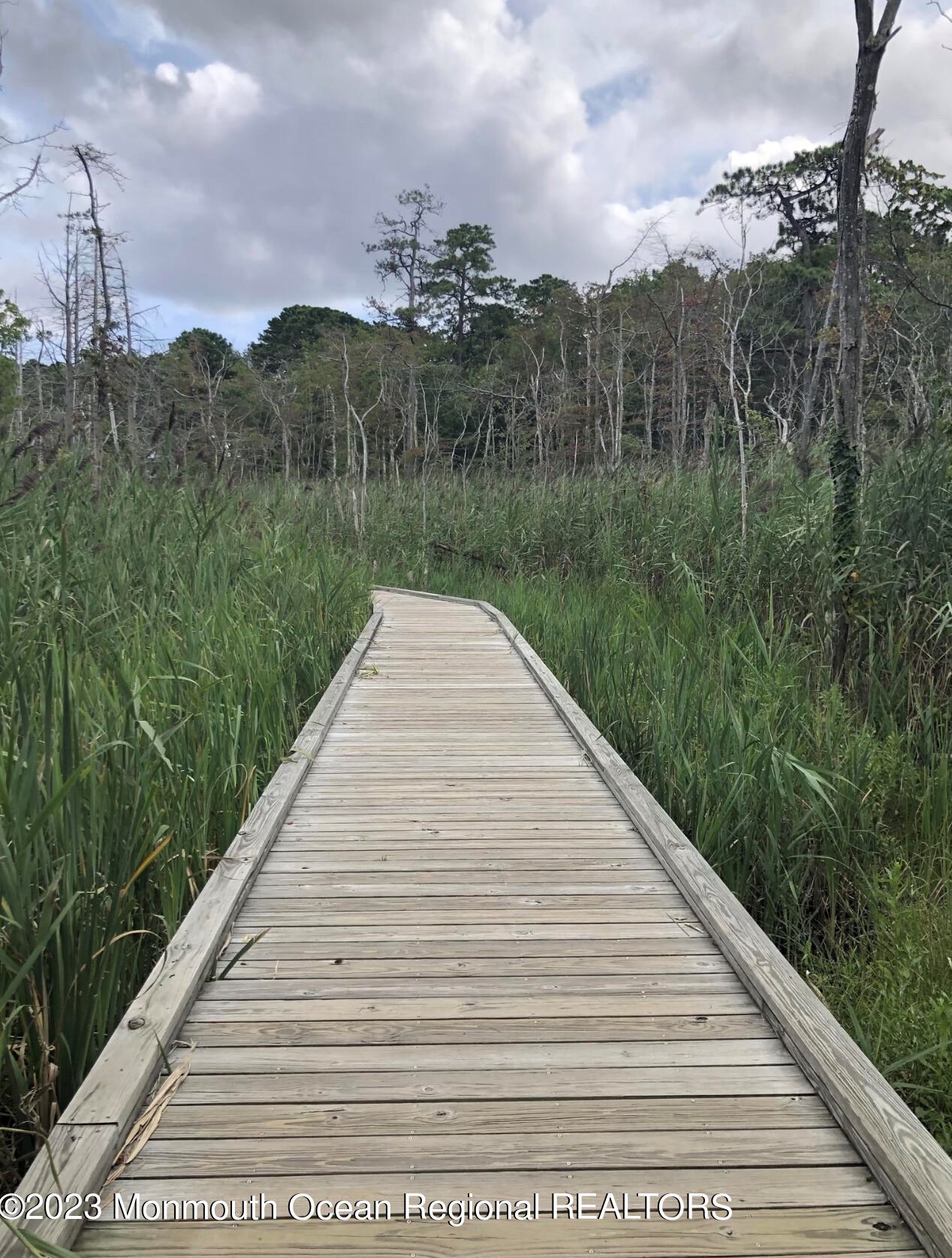 1005 Mercer Dr, Toms River, NJ 08753