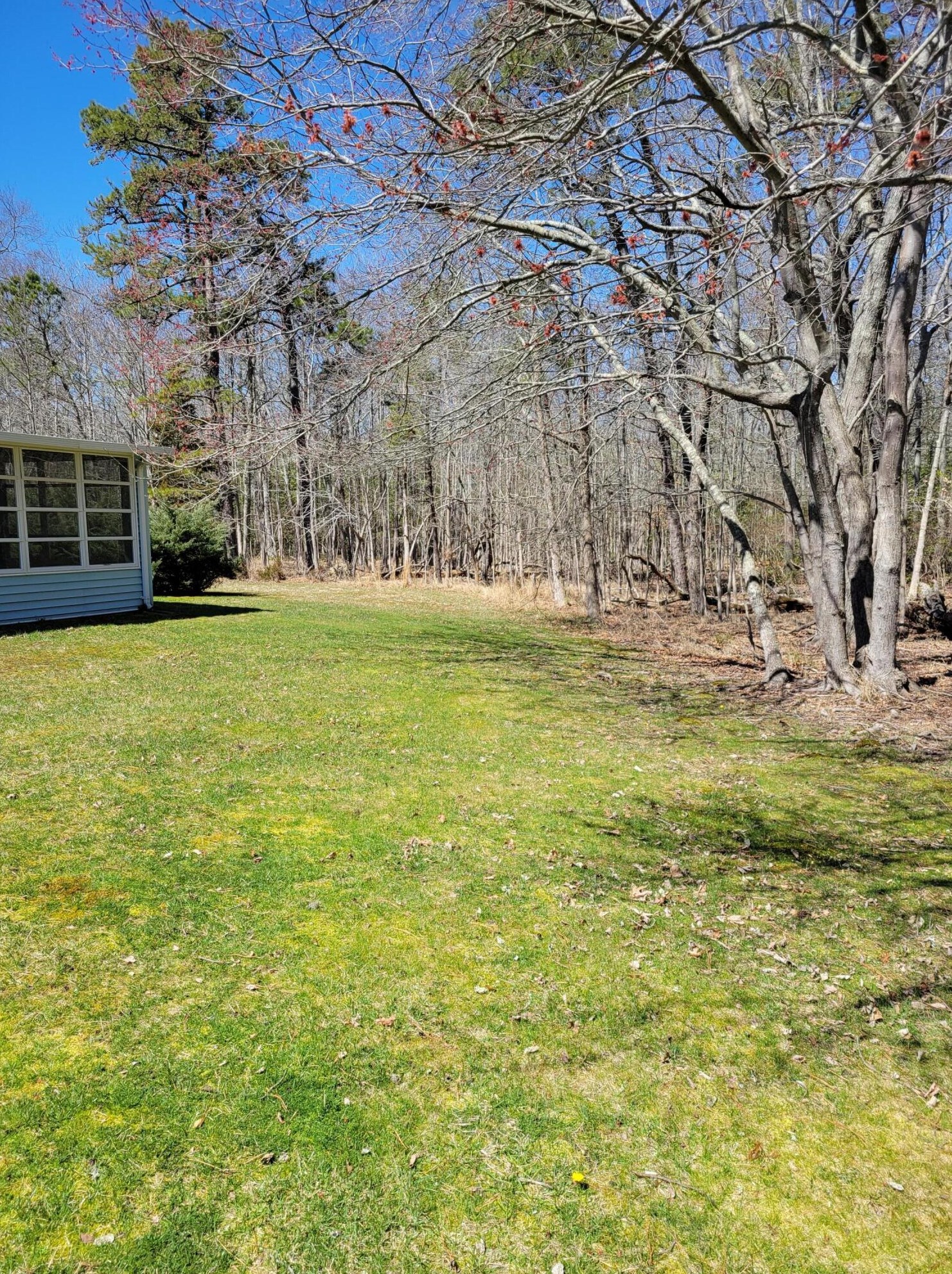 438 Lexington Dr, Tuckerton NJ  08087-1312 exterior