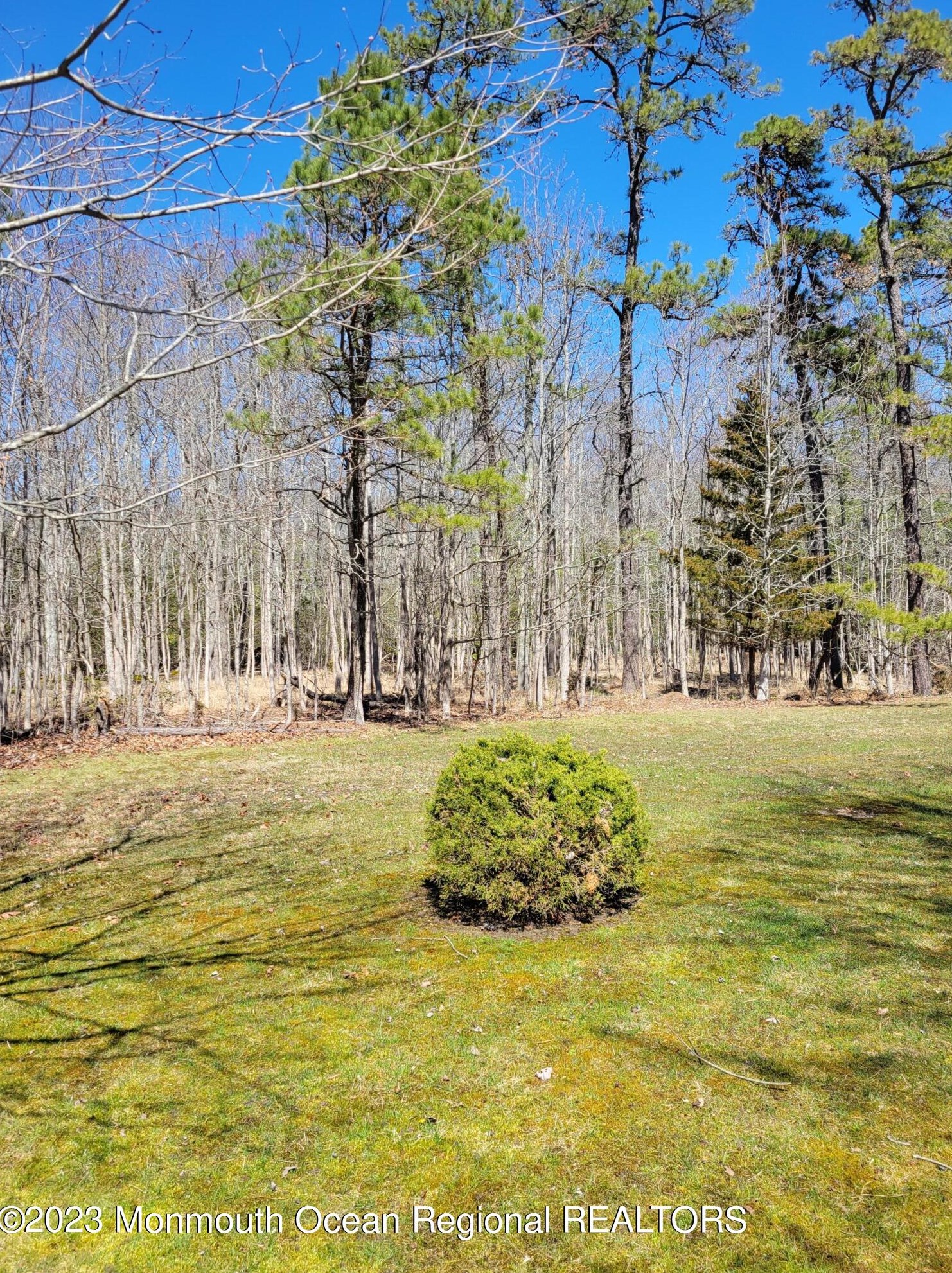 438 Lexington Dr, Tuckerton NJ  08087-1312 exterior