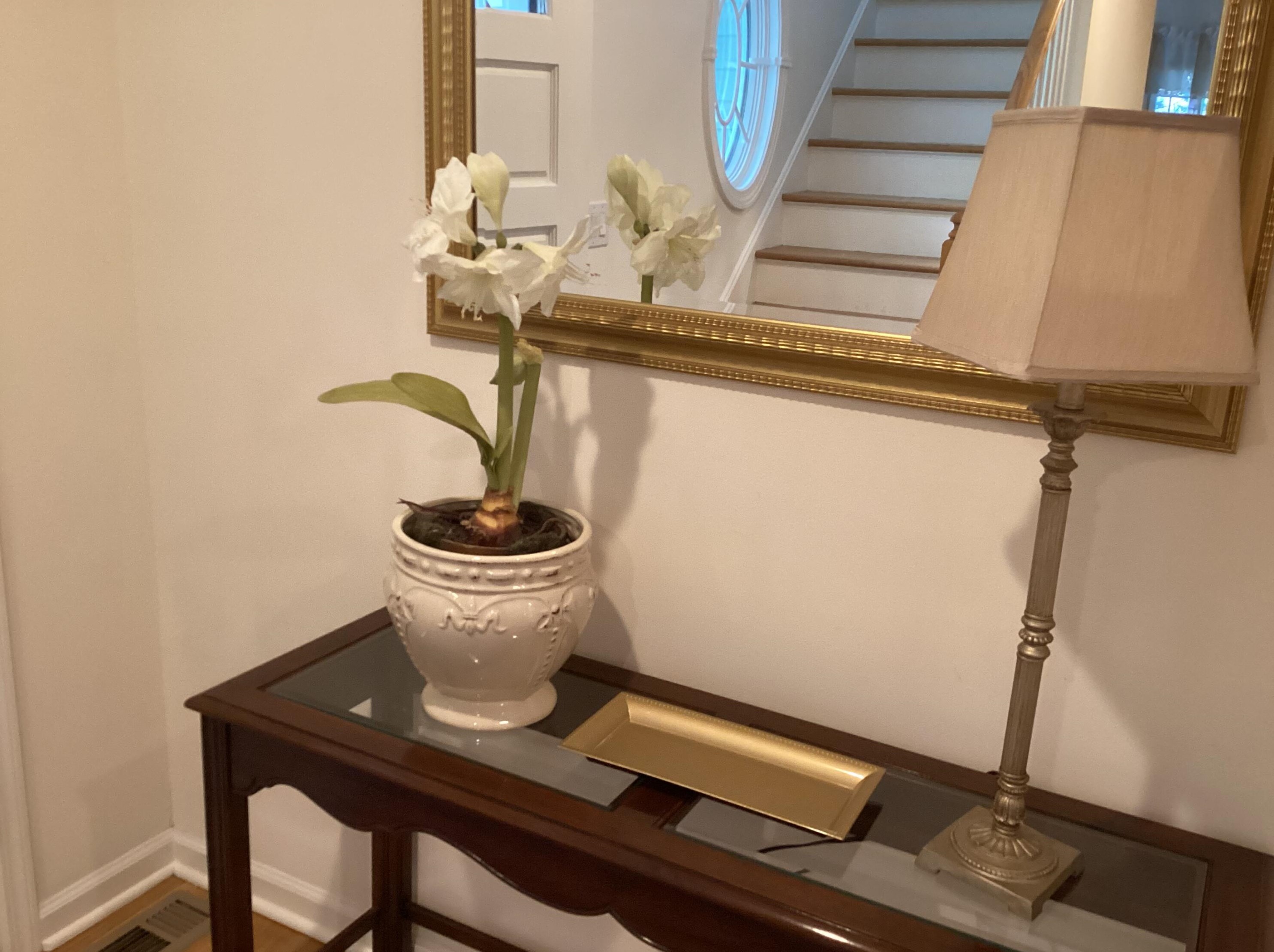 133 Forest St, New Canaan CT  06840-4708 exterior