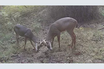 3525 Starling Road, Tate Township, OH 45106 - Photo 10