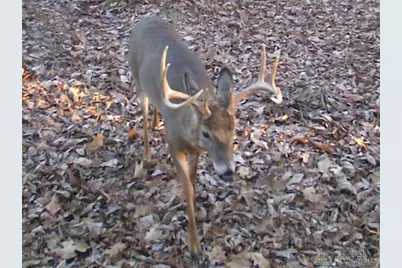 3525 Starling Road, Tate Township, OH 45106 - Photo 18