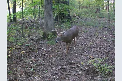 3525 Starling Road, Tate Township, OH 45106 - Photo 16