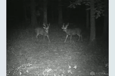 3525 Starling Road, Tate Township, OH 45106 - Photo 14