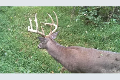 3525 Starling Road, Tate Township, OH 45106 - Photo 12