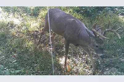 3525 Starling Road, Tate Township, OH 45106 - Photo 8