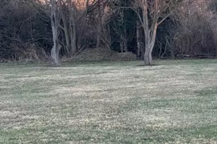 9910 Pleasant Plain Rd, Brookville, OH 45309 - Photo 60