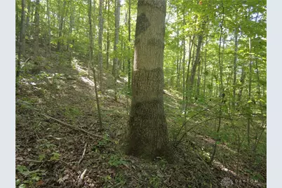 16 Black Hollow Road, Peebles, OH 45660 - Photo 8