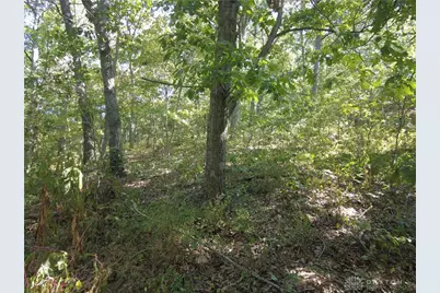 16 Black Hollow Road, Peebles, OH 45660 - Photo 14