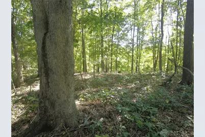 16 Black Hollow Road, Peebles, OH 45660 - Photo 26