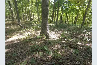 16 Black Hollow Road, Peebles, OH 45660 - Photo 24