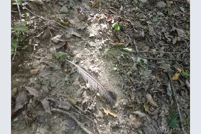 16 Black Hollow Road, Peebles, OH 45660 - Photo 12