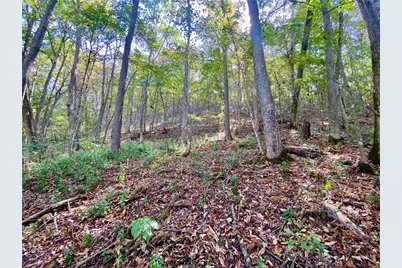 6.15 Ac Eagle Creek Road, Ripley, OH 45167 - Photo 6