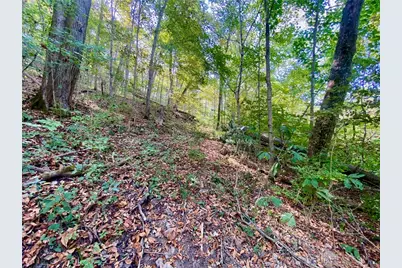 6.15 Ac Eagle Creek Road, Ripley, OH 45167 - Photo 4