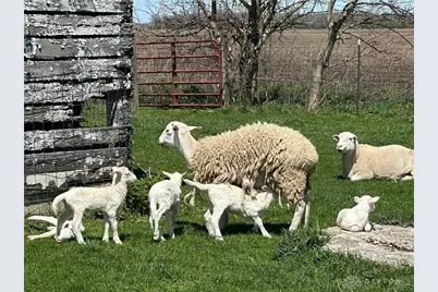 978 State Route 72, Ross Twp, OH 45314 - Photo 82