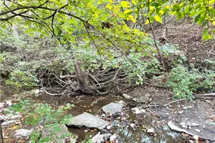 2491 Old Mill Rd, Maineville, OH 45039 - Photo 24