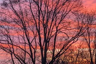 679 Oxford Germantown Rd, Camden, OH 45311 - Photo 58