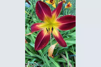 1054 Wilhelmina Drive, Vandalia, OH 45377 - Photo 42