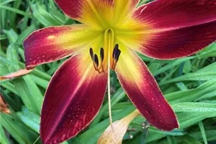 1054 Wilhelmina Dr, Vandalia, OH 45377 - Photo 42