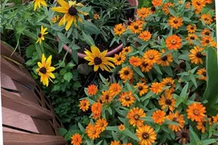 1054 Wilhelmina Dr, Vandalia, OH 45377 - Photo 44