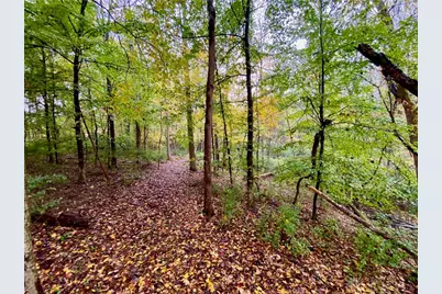 87 Ac Moore Road, Tate Township, OH 45106 - Photo 12