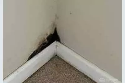 949 Primrose Drive, Dayton, OH 45449 - Photo 26